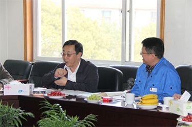 2013年3月18日，时任国家工信部节能司副司长杨铁生一行莅临公司参观指导