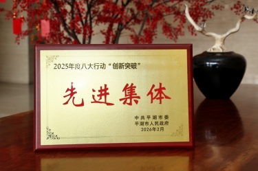 策马扬鞭启新程！888集团纸业在平湖市三级干部大会上荣获“创新突破”双项荣誉